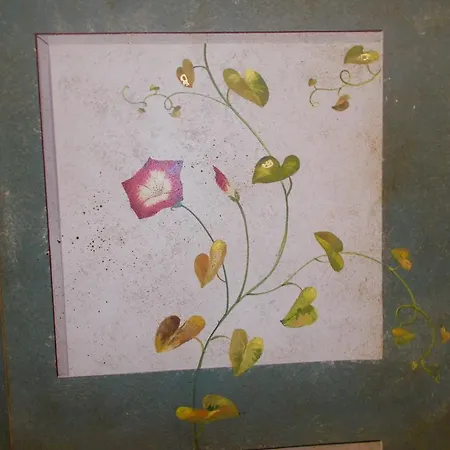 דירה Ca Dei Libri ונציה